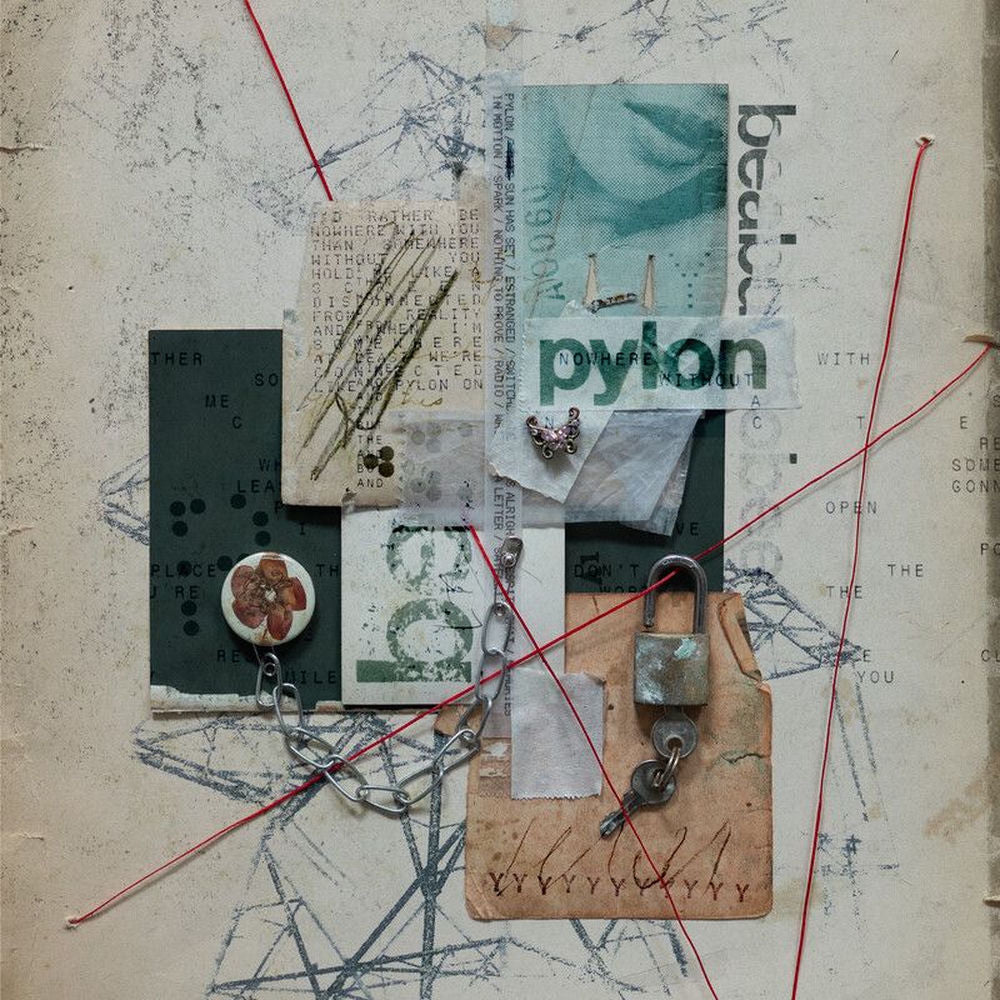 beabadoobee – Pylon vinyl record cover